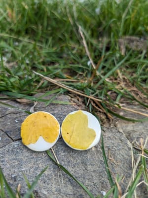 🌿 Fragmente de Eternitate: Cercei Stud cu Frasin - Thumbnail 5